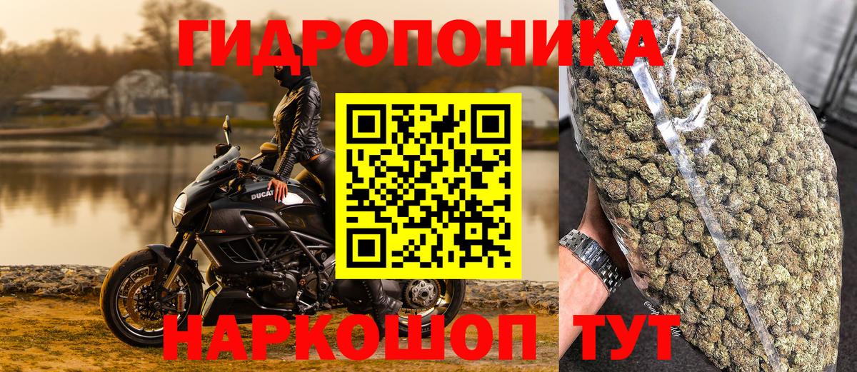 Каннабис план  Вход с VPN  Шишки марихуана тримм  Канабис индика  Каннабис ГИДРОПОН  Знаменск 